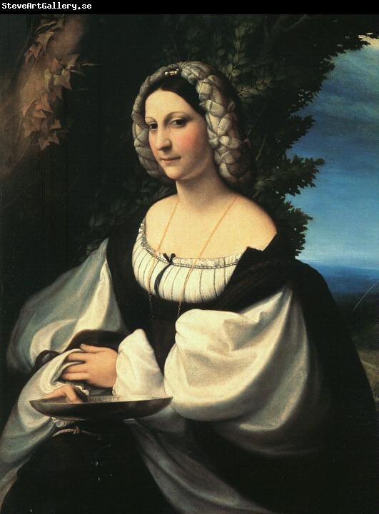 Correggio Portrait of a Gentlewoman