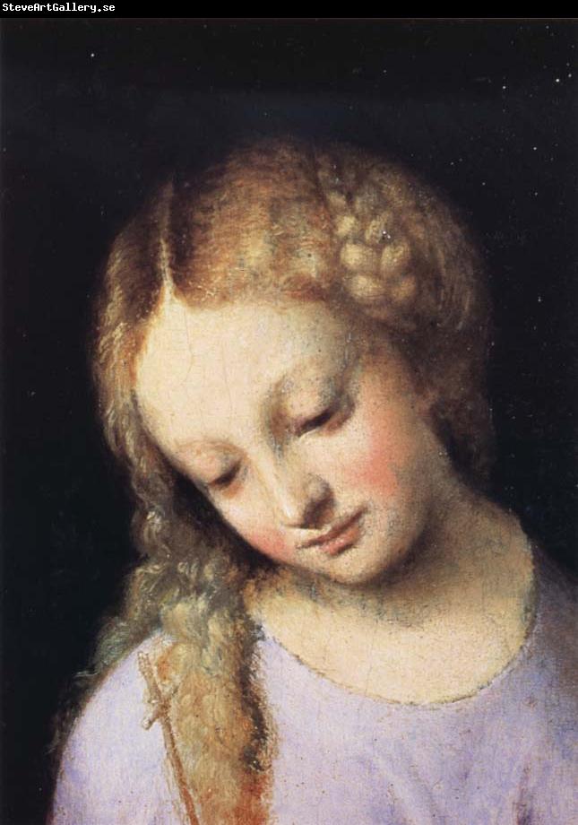 Correggio Details of Madonna and Child with the Young Saint John