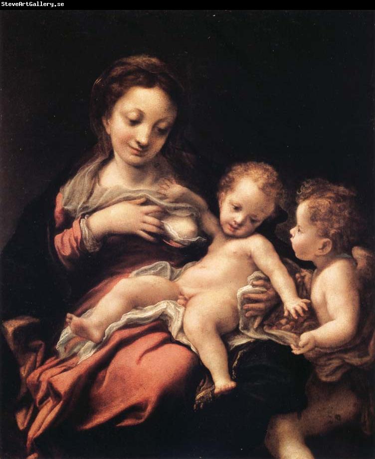 Correggio Madonna del Latte