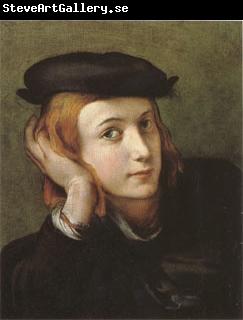 Correggio Portrait of a Youn Man (mk05)